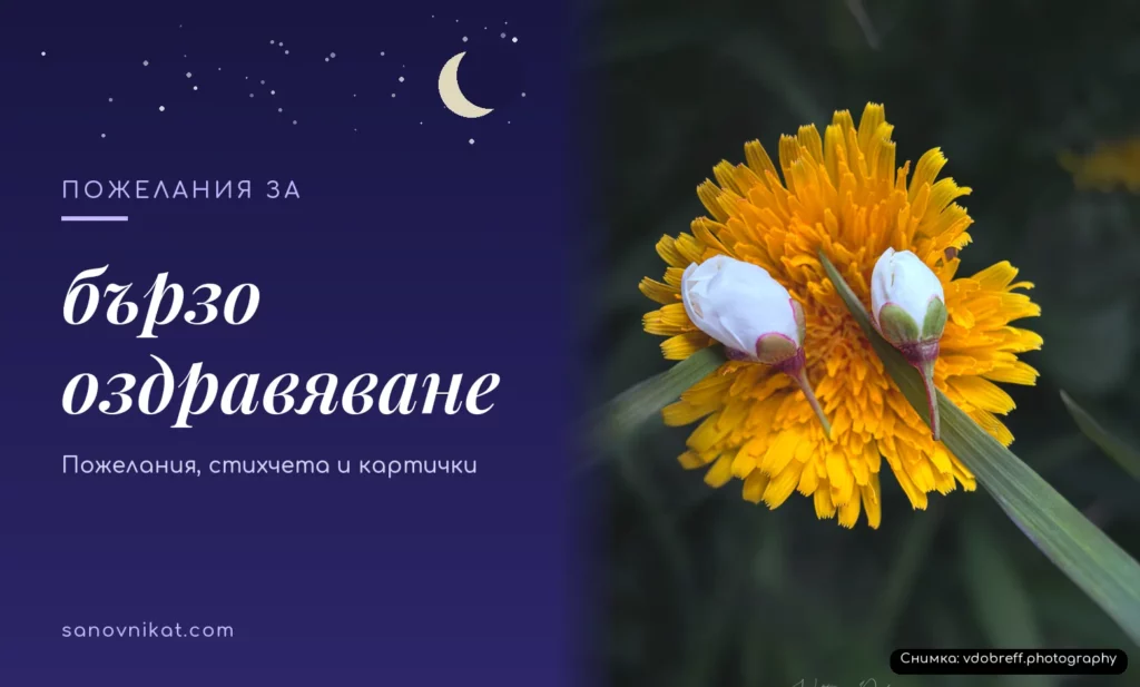 Пожелания за бързо оздравяване