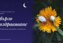 Пожелания за бързо оздравяване