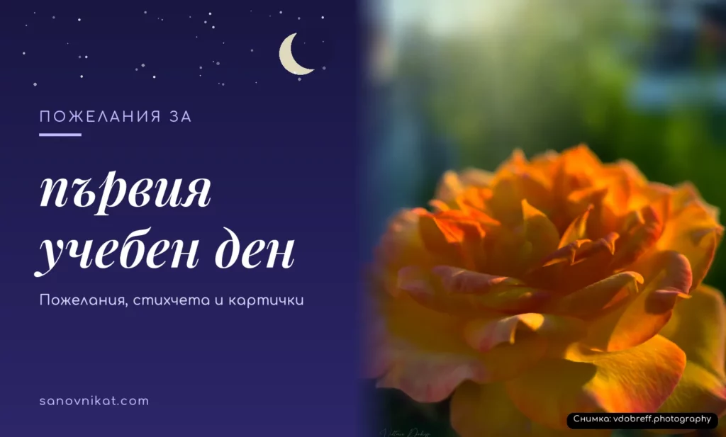 Пожелания за първия учебен ден