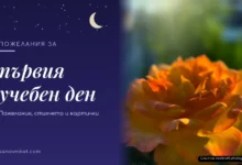 Пожелания за първия учебен ден
