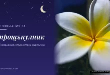 Пожелания за прощъпулник