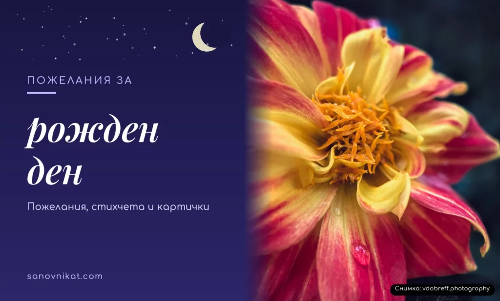 Пожелания за рожден ден