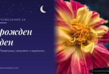 Пожелания за рожден ден