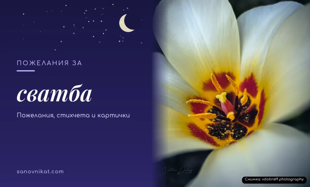 Пожелания за сватба