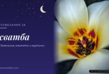 Пожелания за сватба